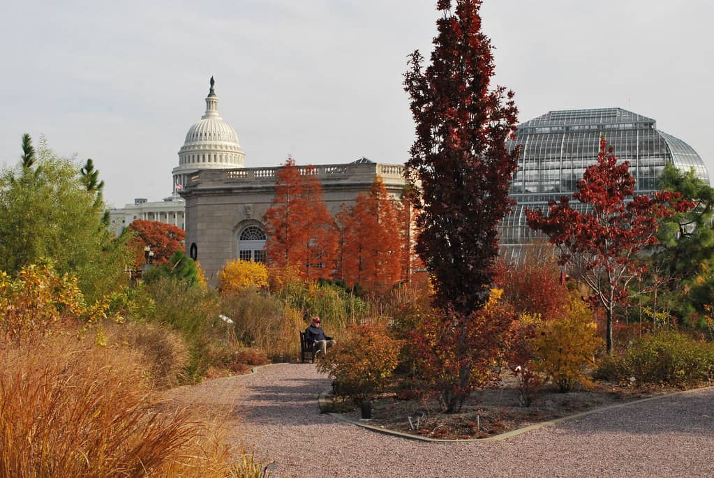 National Garden