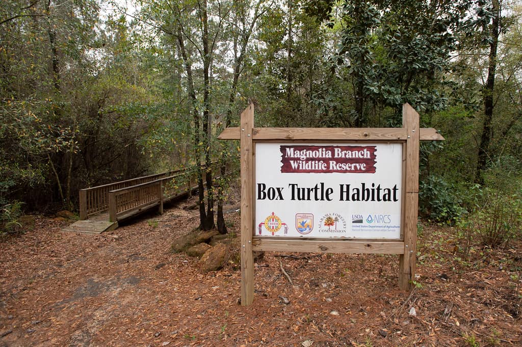 Peaceful Nature Trails