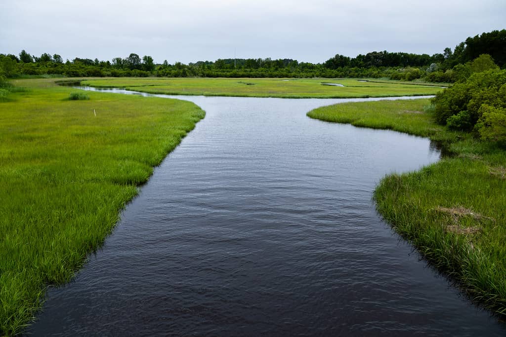 Wakeboarding Park Views