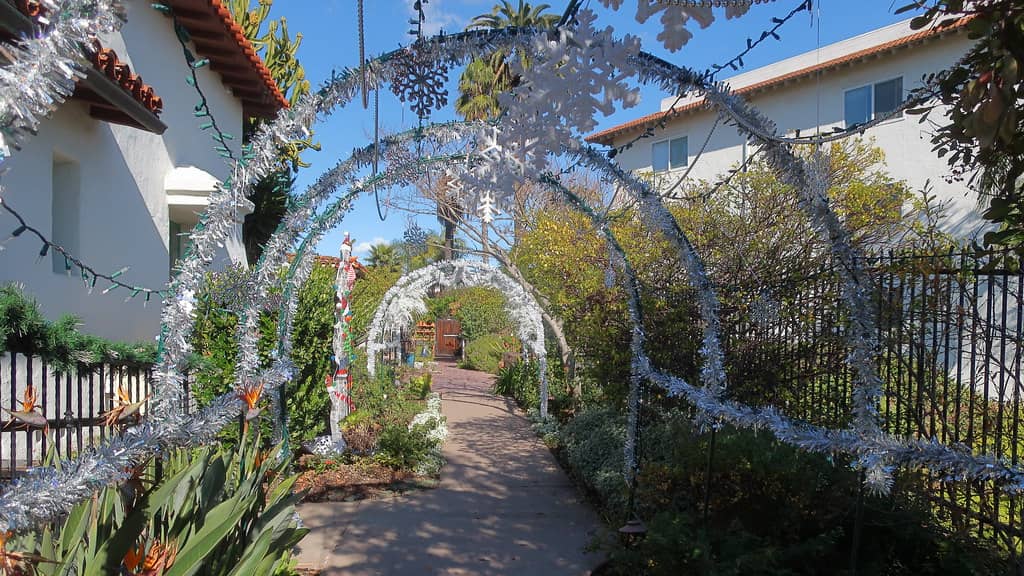 Butterfly Garden