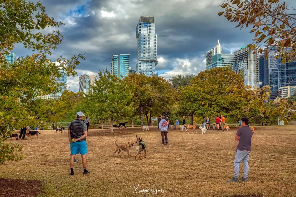 Off-Leash Dog Park