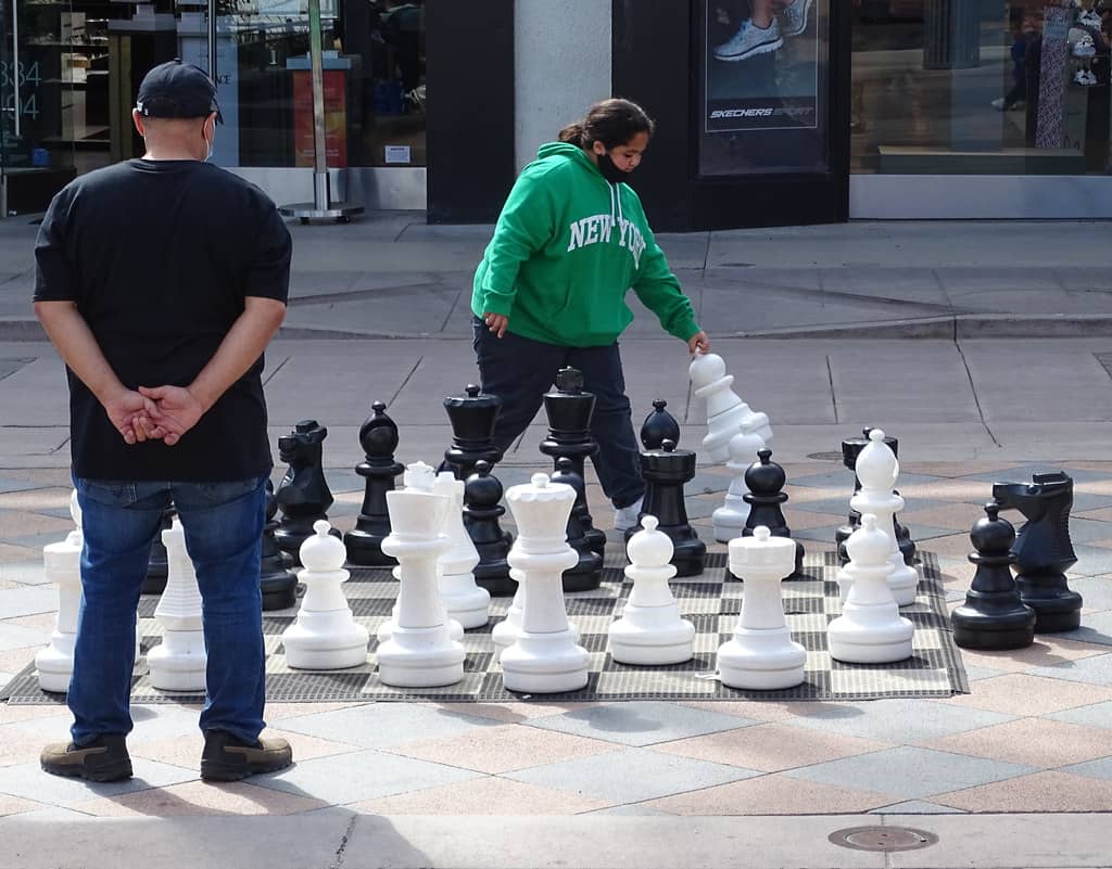 Giant Chess Board