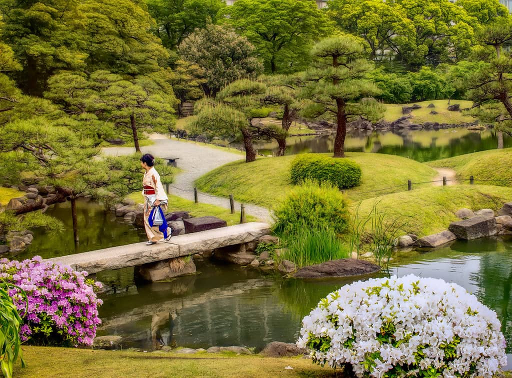 Shiba Park Greenery