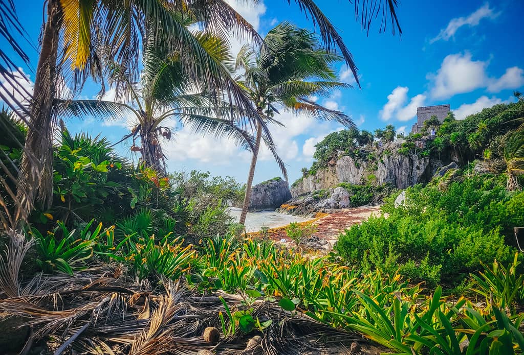 Photography Paradise