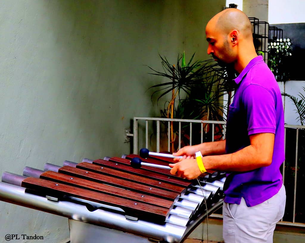 Musical Instrument Collection
