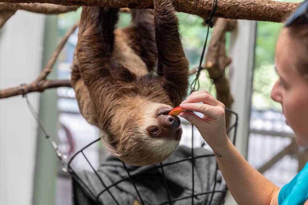 Animal Encounters