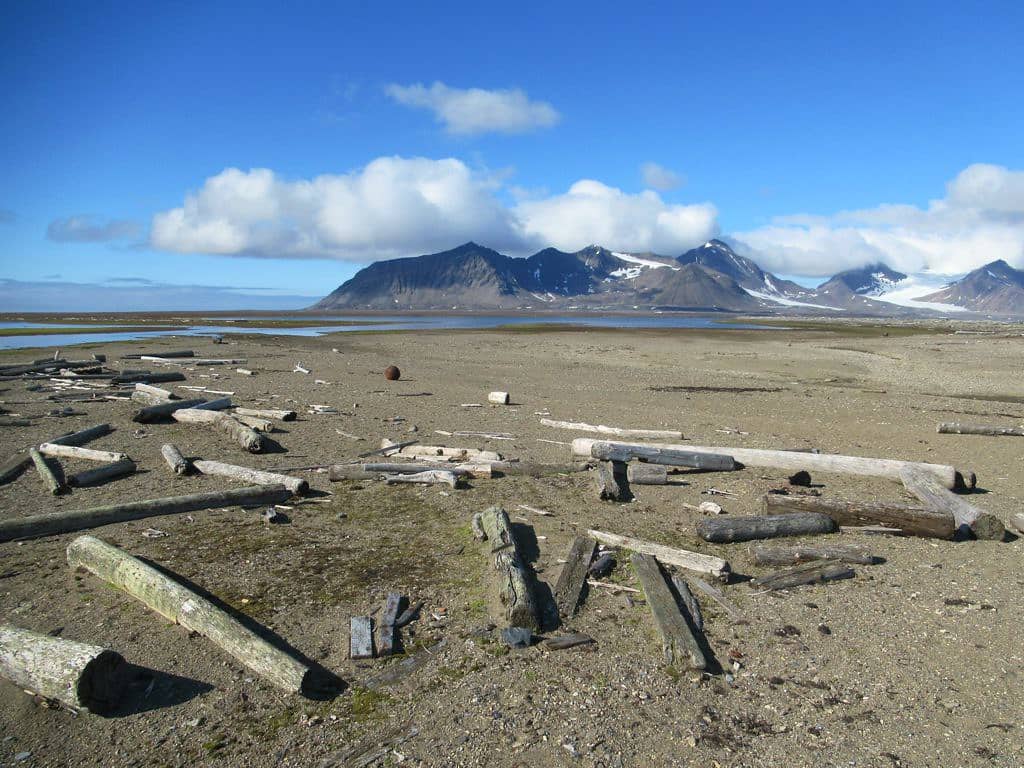 Arctic Scenery