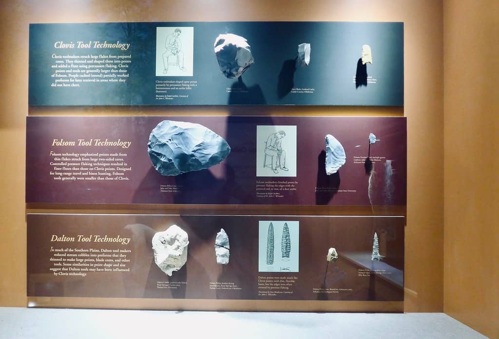 Indigenous Cultures