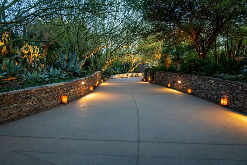Evening Events & Lights