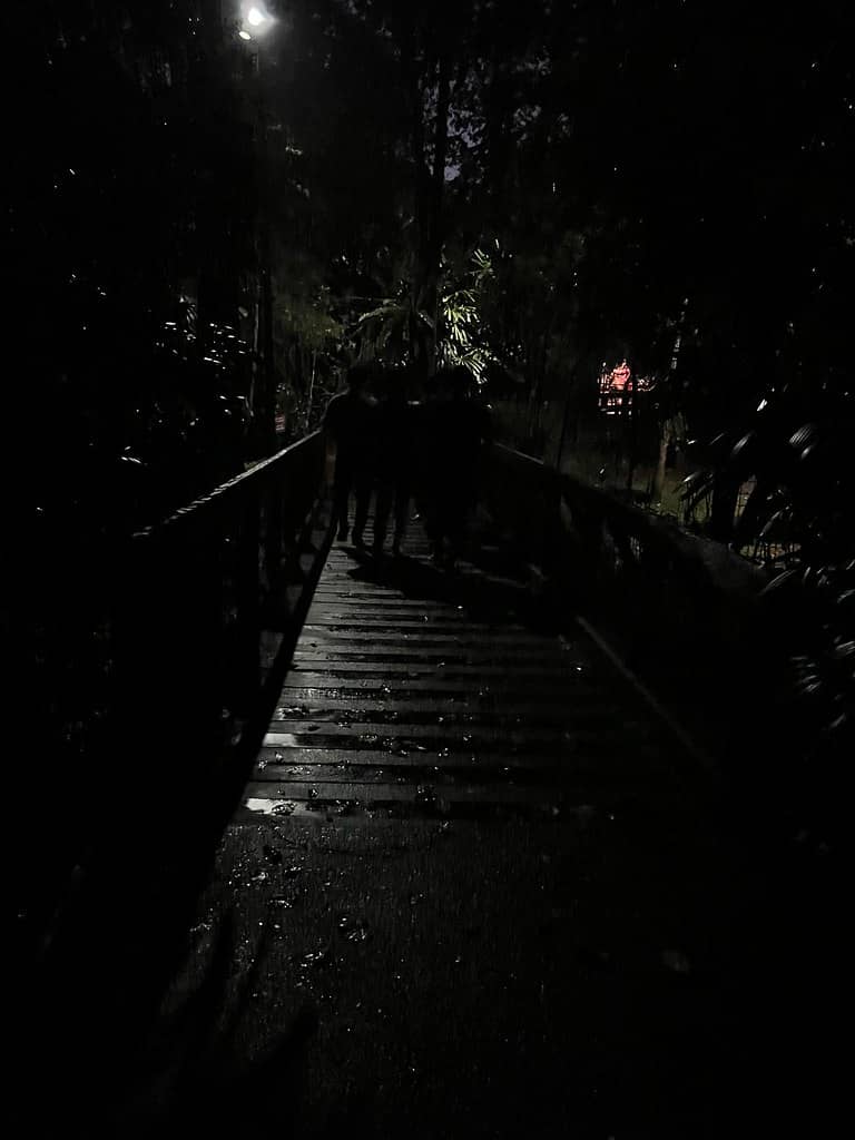 Walking Trails