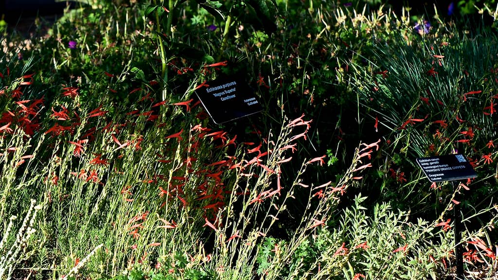 Vintage Red Bridge