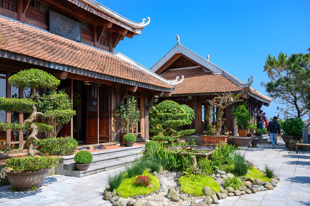 Tranquil Courtyard
