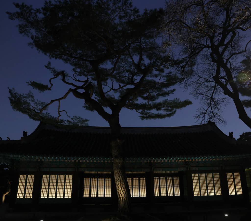 Evening Ambiance