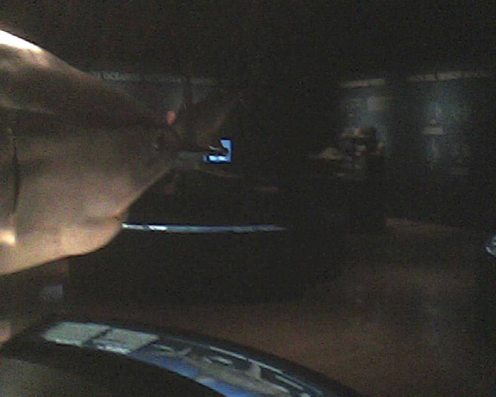 Sharks Exhibition