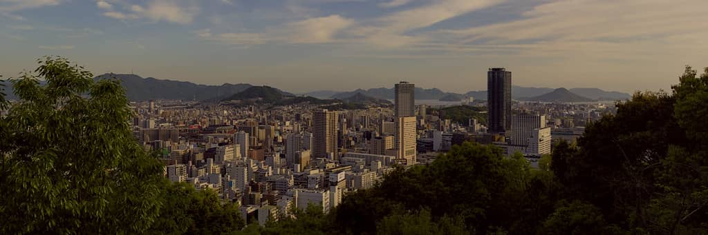 Panoramic City Views