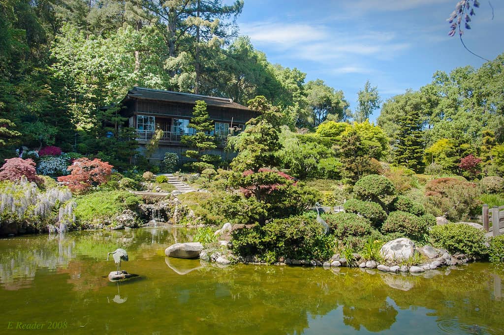 Moon Viewing House