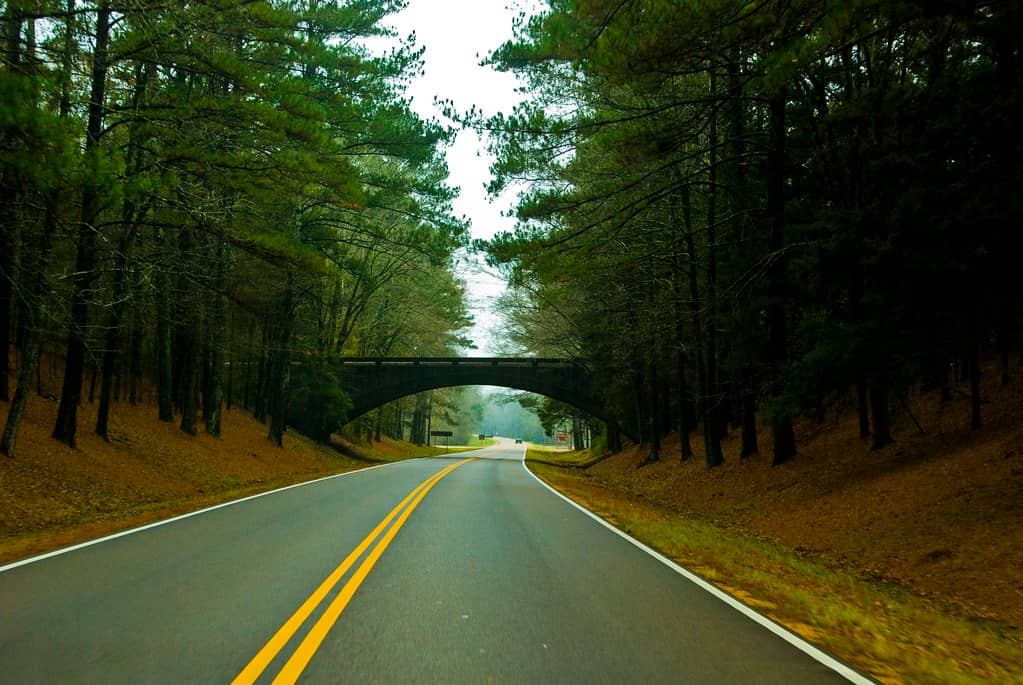 Scenic Parkway Drive