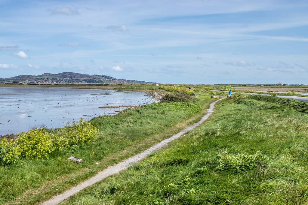 Birdwatching Haven