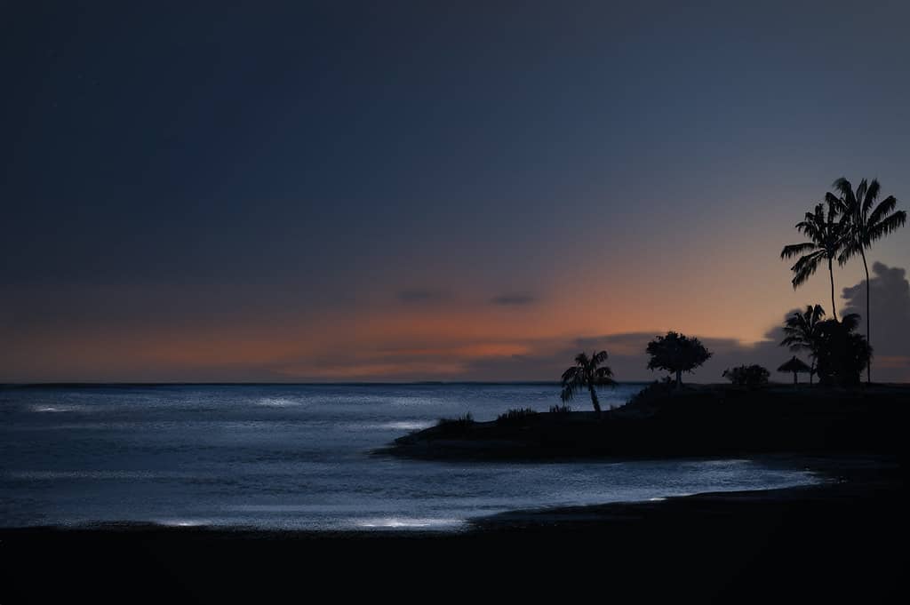 Sunset Views