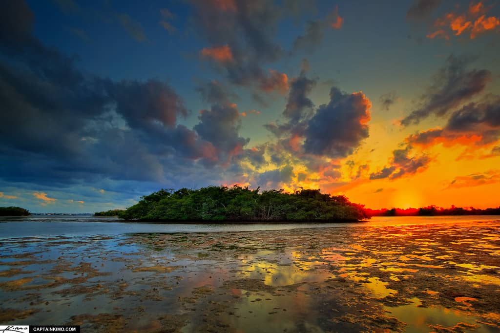 Nature Connection