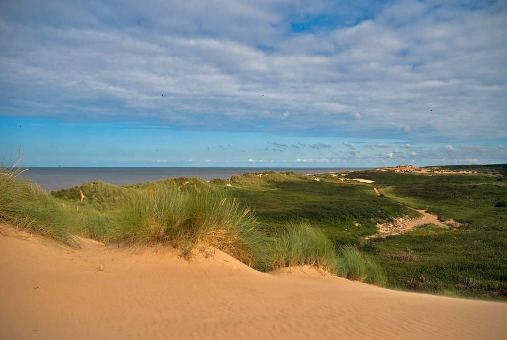 Sand Dune Exploration