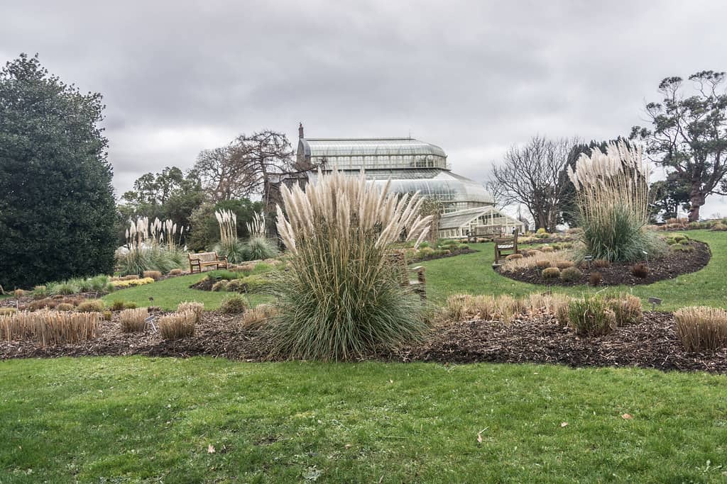 Arboretum