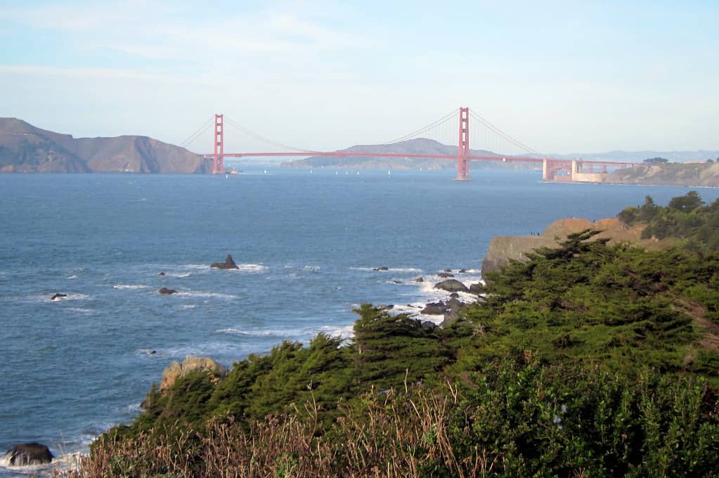 Coastal Trail Views