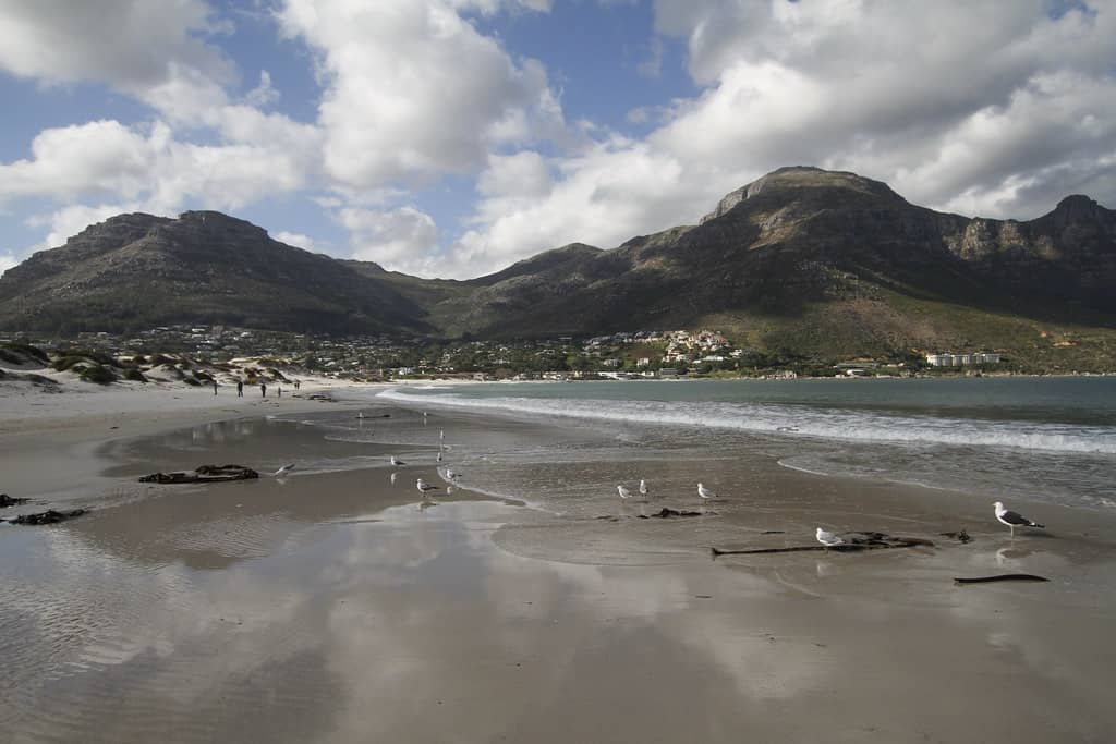 Coastal Scenery