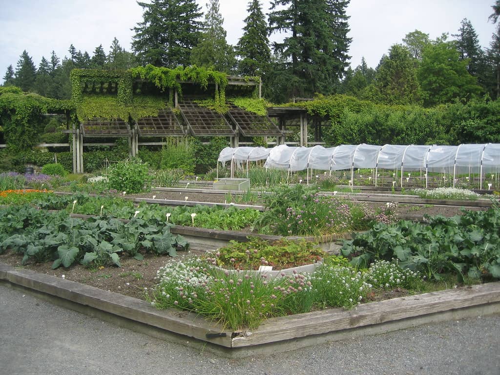 Food & Physic Gardens