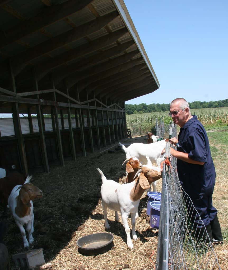 Goat Petting Zoo