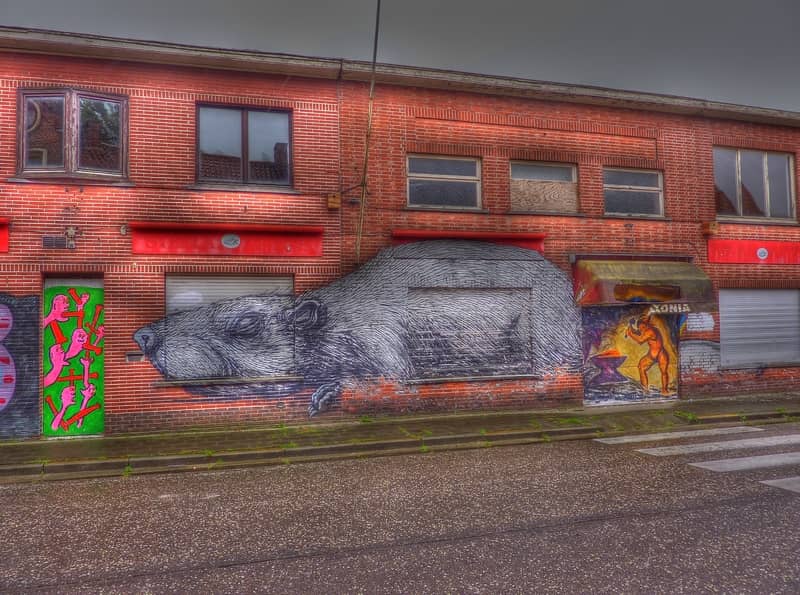 Vibrant Street Art