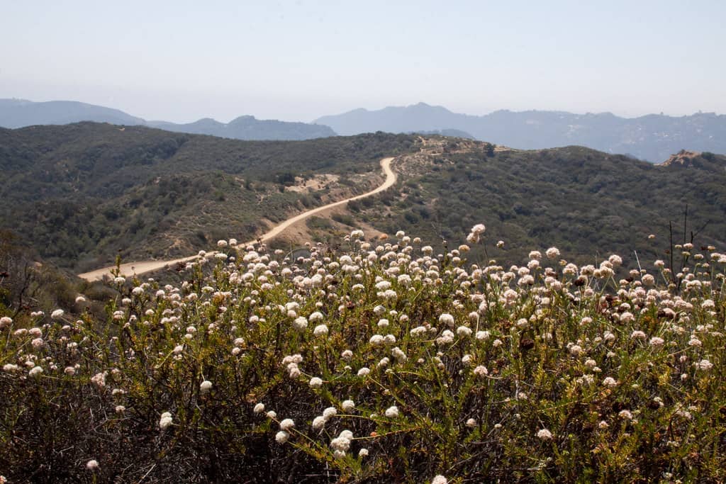 Eagle Rock