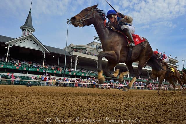 Live Racing Action