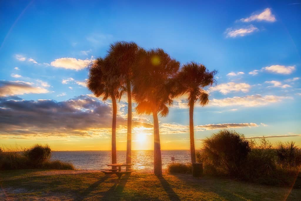 Sunset Views