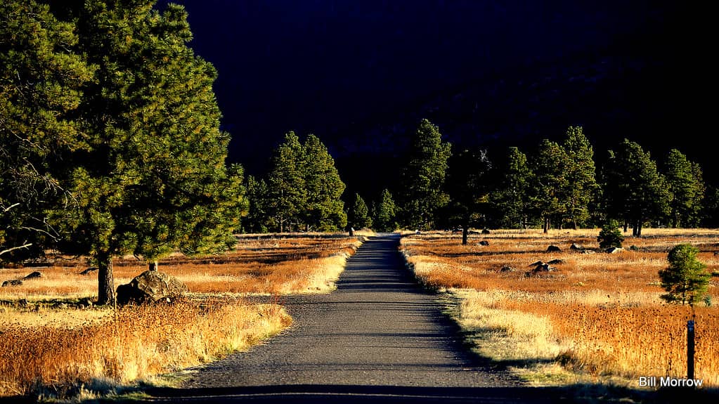 Buffalo Park Trails