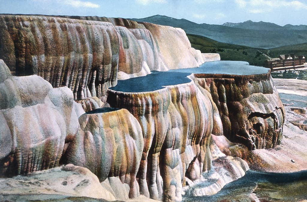 Mammoth Hot Springs