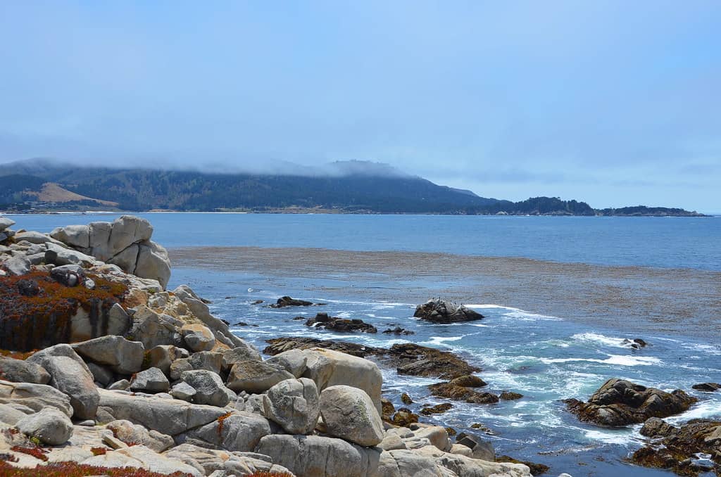 Coastal Vistas