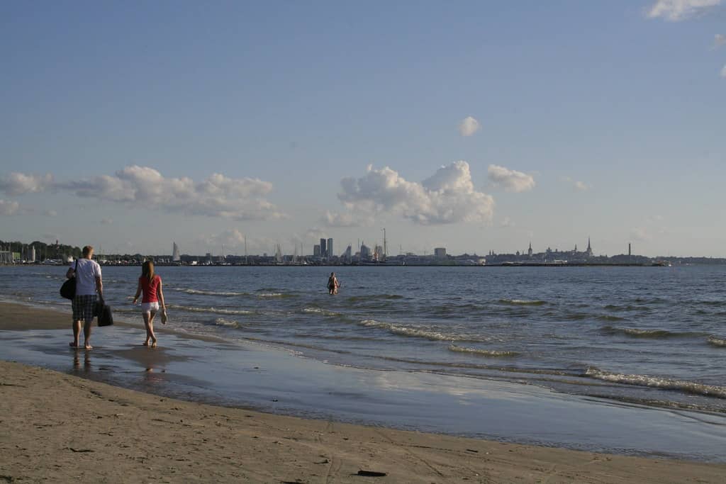 Beach Activities and Amenities