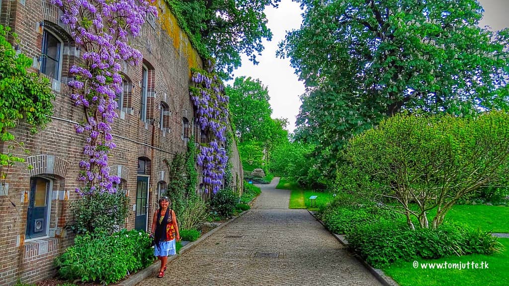Green Spaces