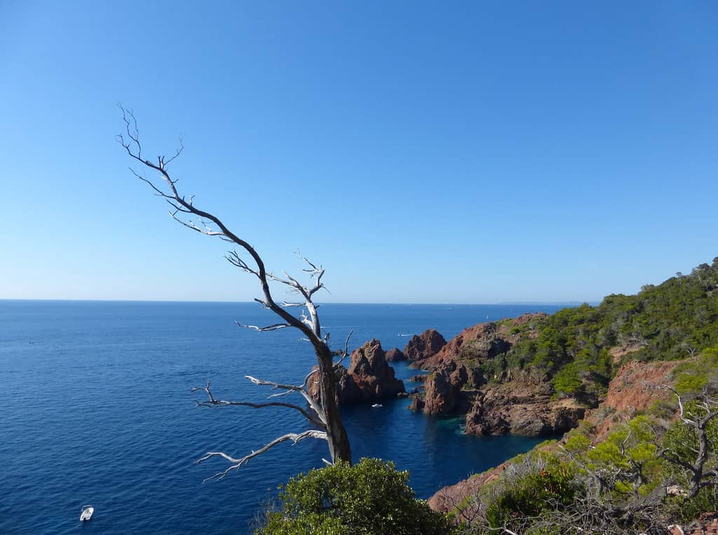 Peaceful Trekking Experience