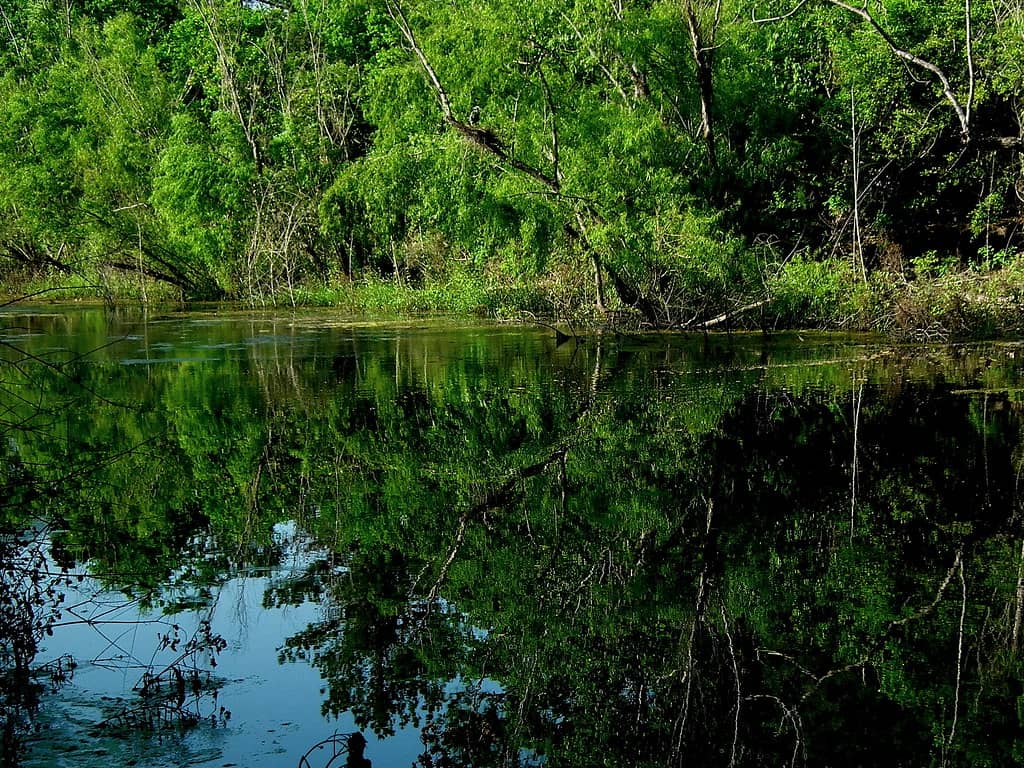 Nature Trails