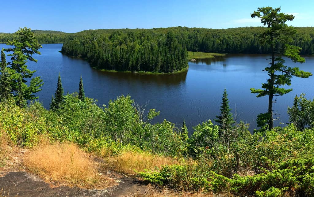 Lake Views