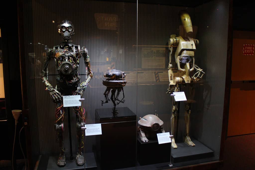 Special Exhibitions