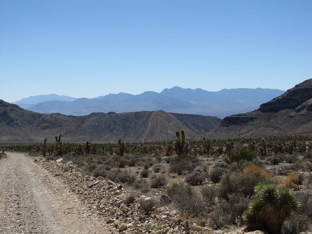 Scenic Drives & Overlooks