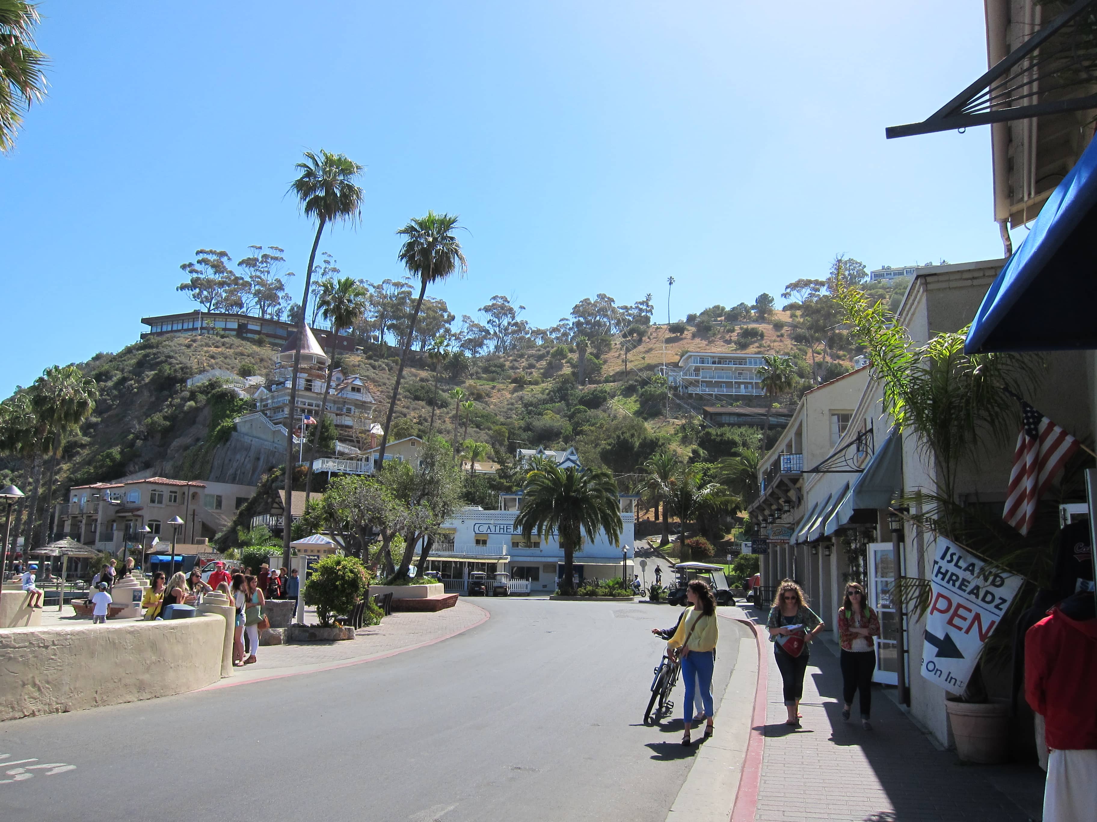 Three Palms Overlook