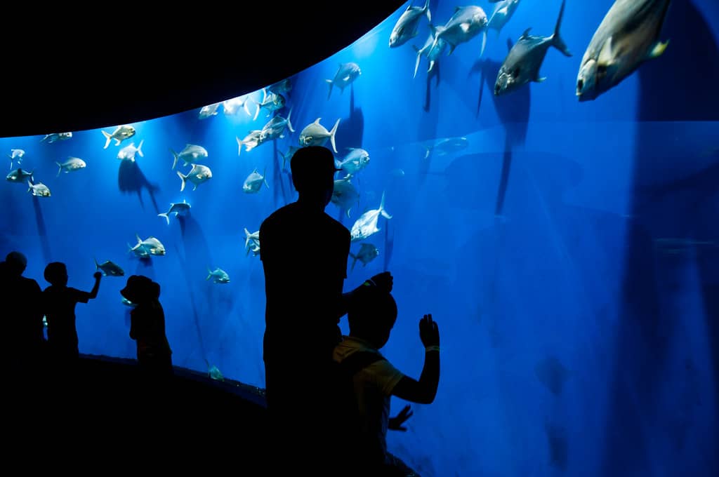Aquarium