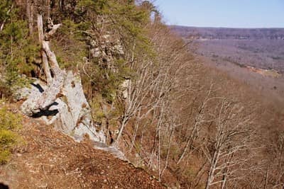 Prentice Cooper State Forest Trails