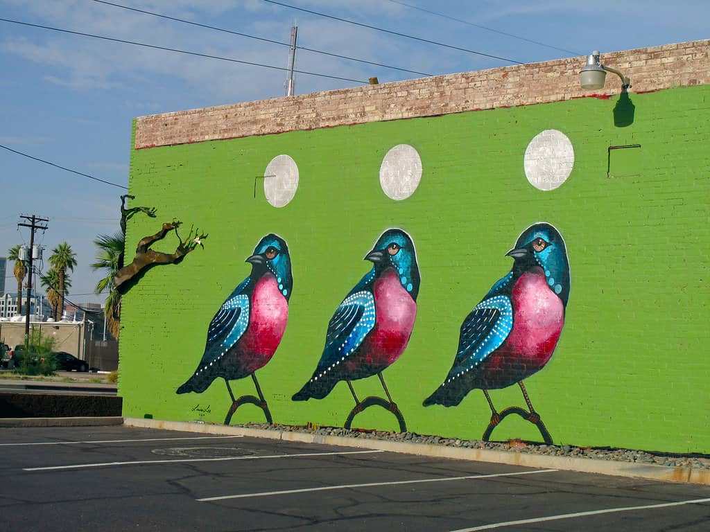 Street Art Murals