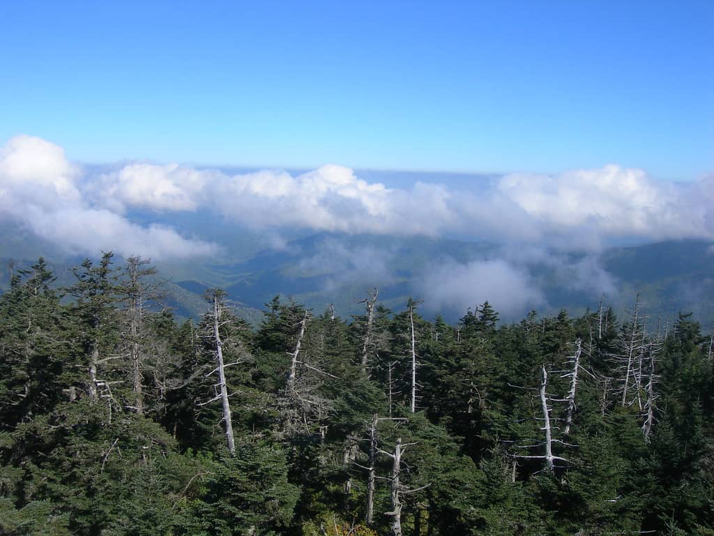 Sea of Clouds