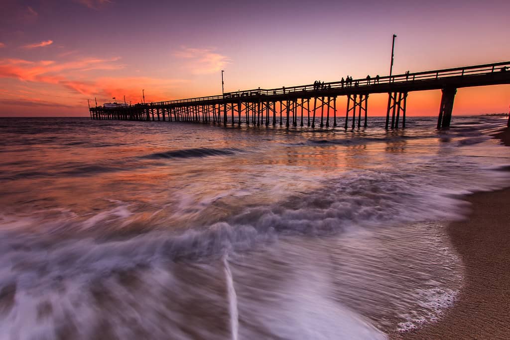 Sunset Spectacle